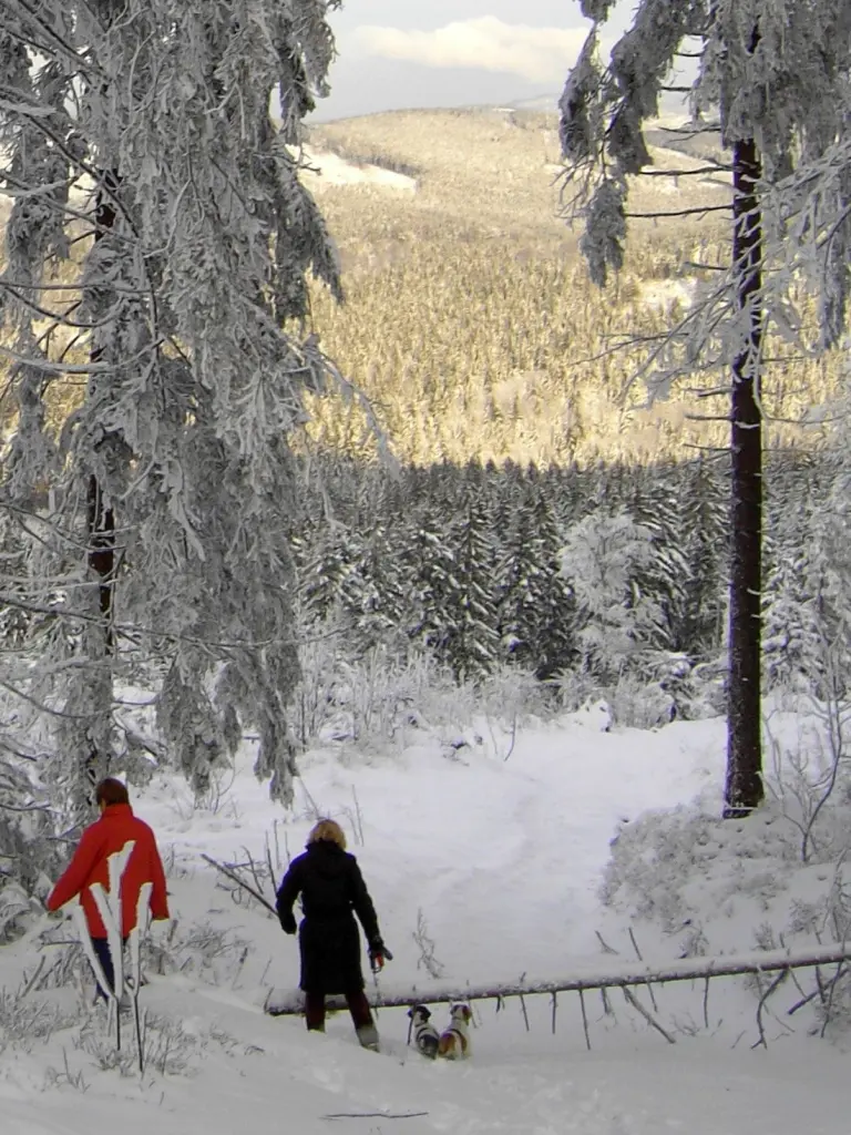 Condolence image of Marika mit Balou und Hippo im Herzen
