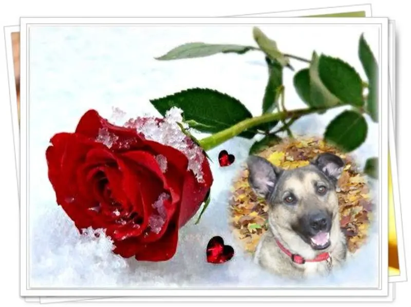 Condolence image of Unbekannt