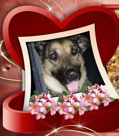 Condolence image of Unbekannt