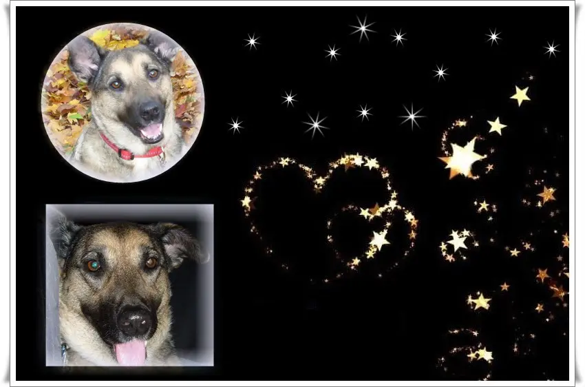 Condolence image of Gute Nacht❤️