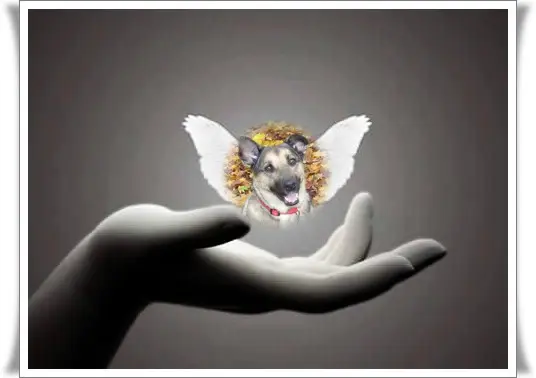 Condolence image of ❤️❤️❤️