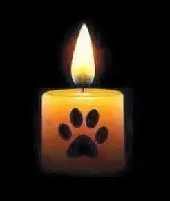 Condolence image of Unbekannt