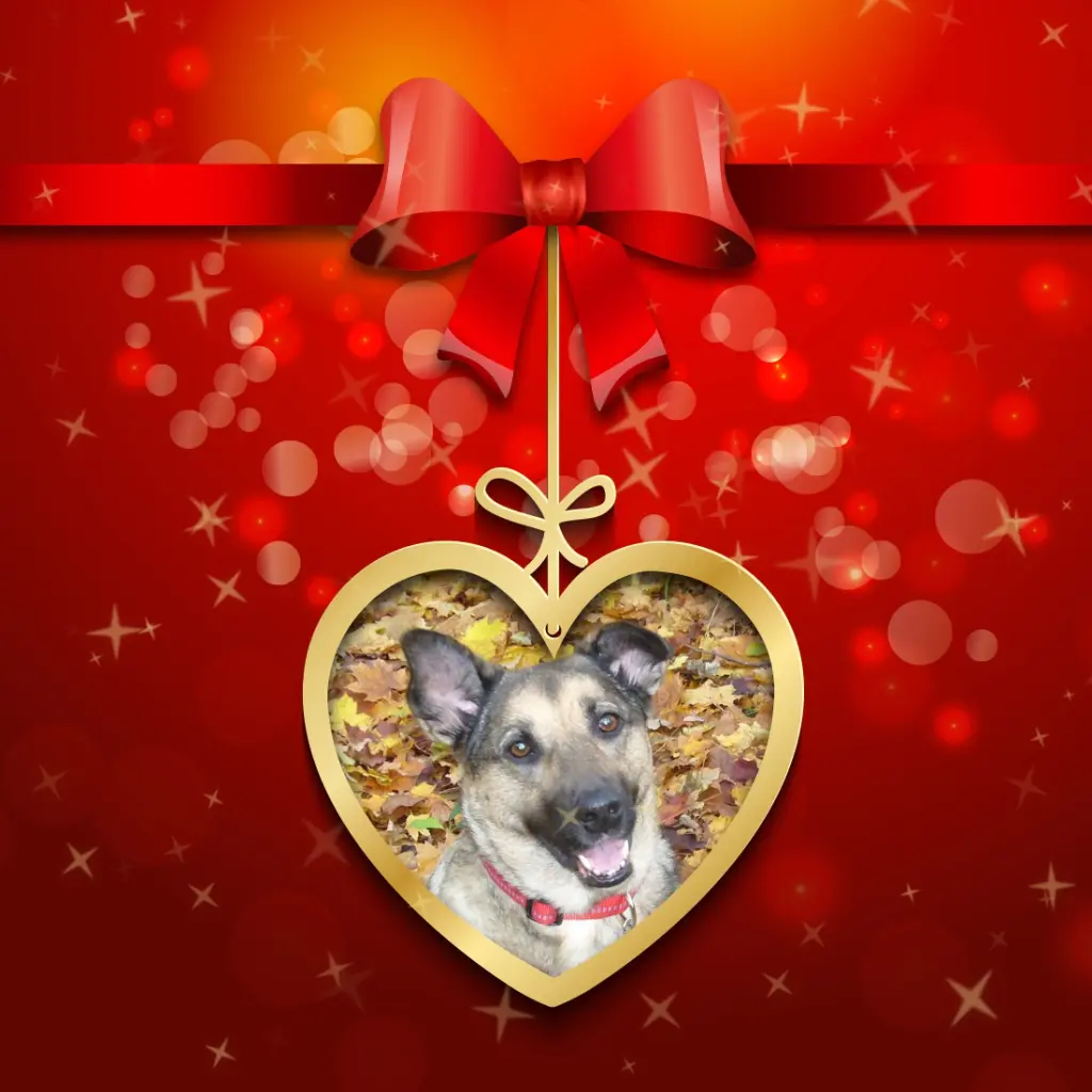 Condolence image of Liebe Luna❤️