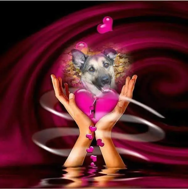 Condolence image of ❤️❤️❤️