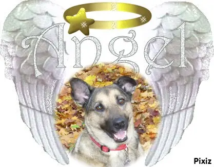 Condolence image of ❤️❤️❤️