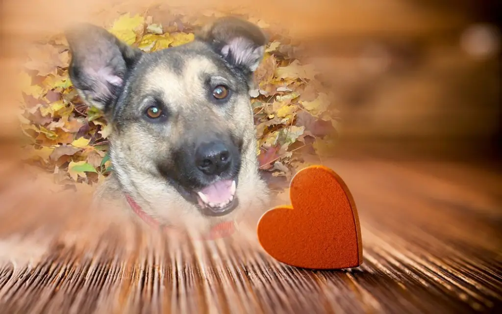 Condolence image of ❤️❤️❤️