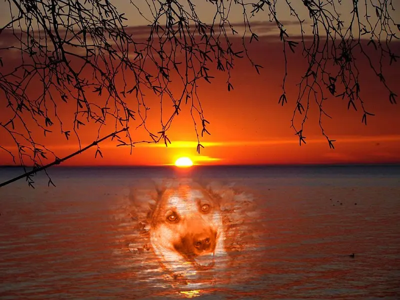 Condolence image of ❤️❤️❤️