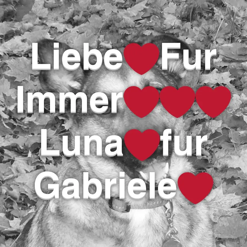 Condolence image of Liebe Gabriele❤️