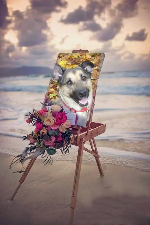 Condolence image of ❤️❤️❤️