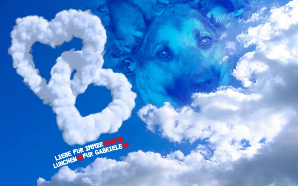 Condolence image of ❤️❤️❤️