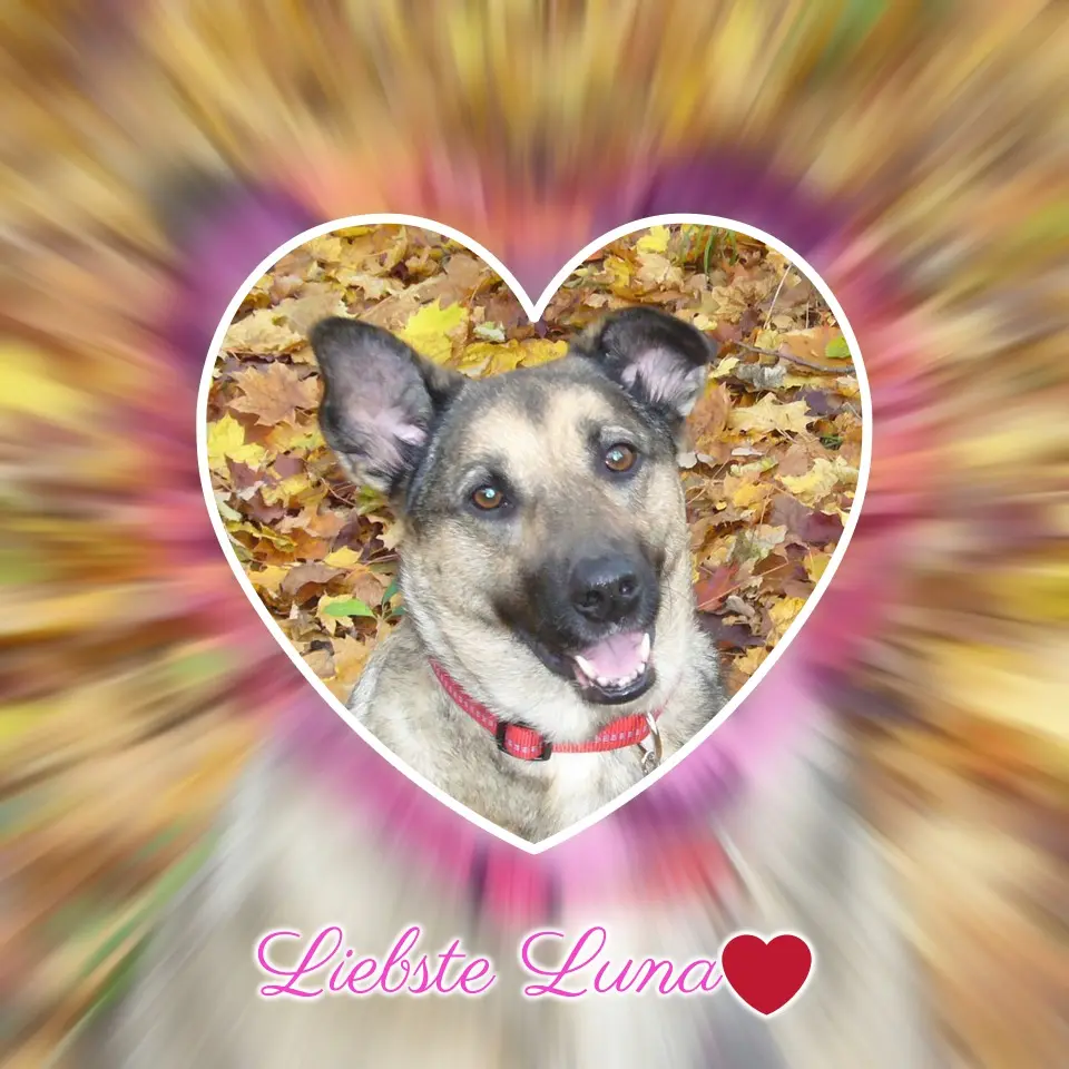 Condolence image of ❤️❤️❤️