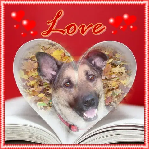 Condolence image of ❤️❤️❤️