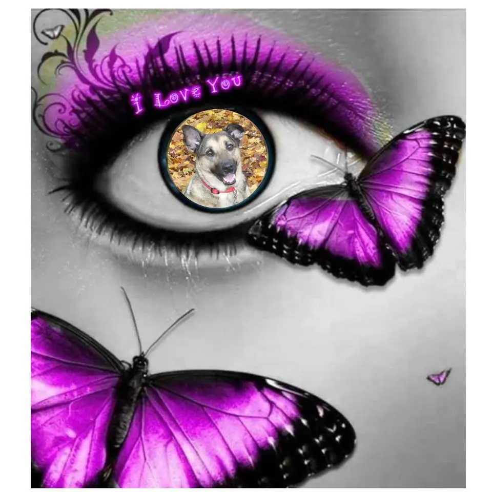 Condolence image of ❤️❤️❤️