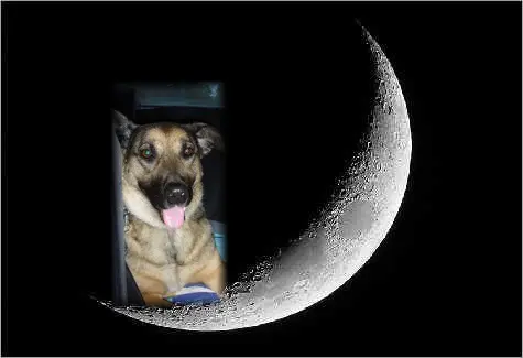 Condolence image of Klaudia mit Misiu❤❤❤Ganz Tief im Herzen❤