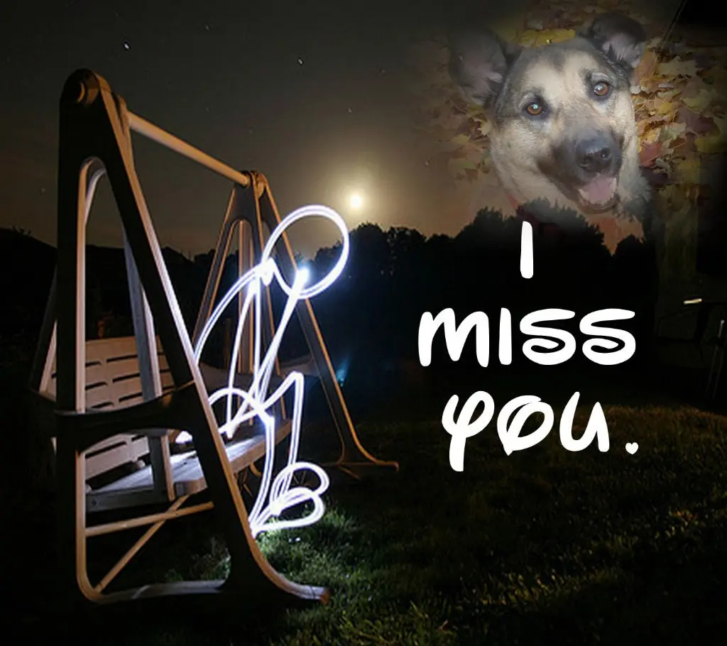 Condolence image of ❤️❤️❤️