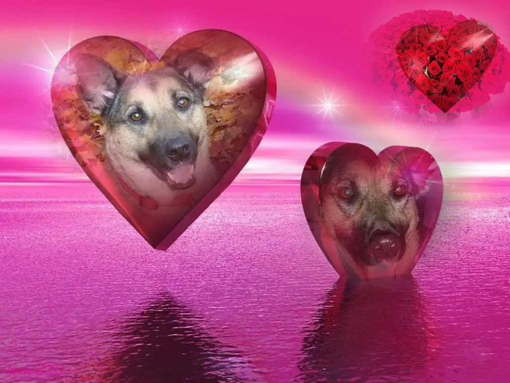 Condolence image of ❤️❤️❤️