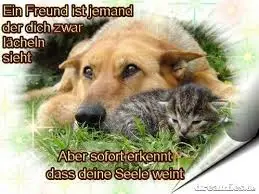 Condolence image of Brigitte mit Nelly, Benny und Axel im Herzen