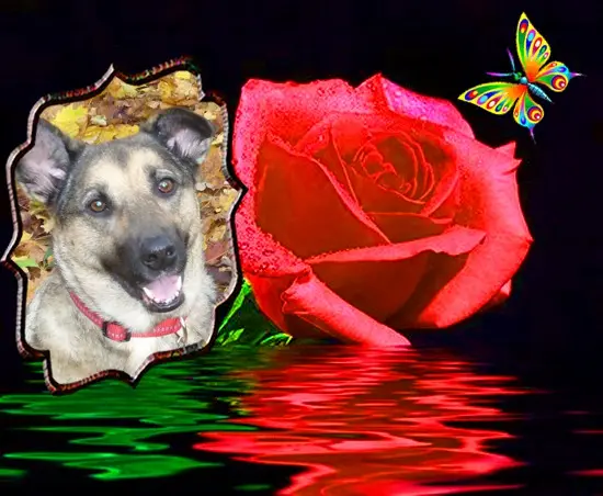 Condolence image of ❤️❤️❤️