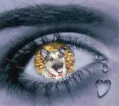 Condolence image of ❤️❤️❤️