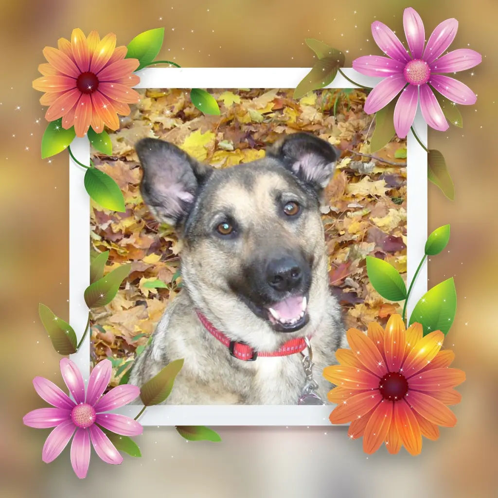 Condolence image of ❤️❤️❤️