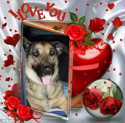 Condolence image of ❤️❤️❤️