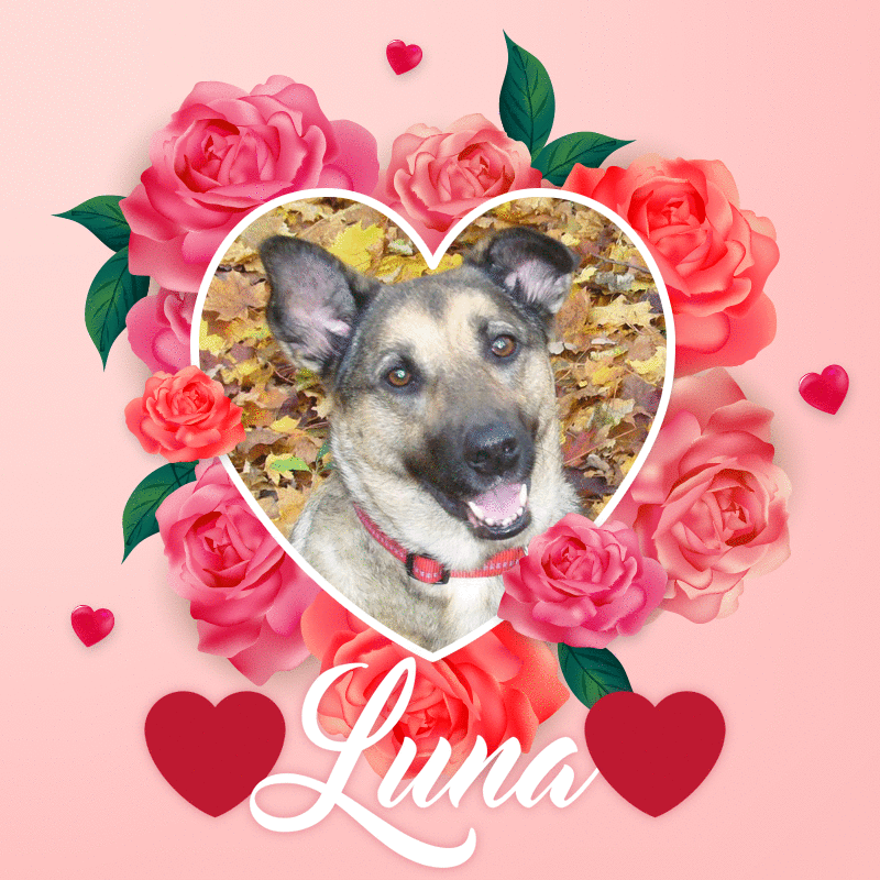 Condolence image of ❤️❤️❤️