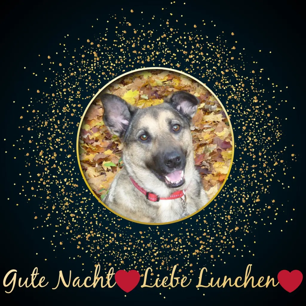 Condolence image of ❤️❤️❤️