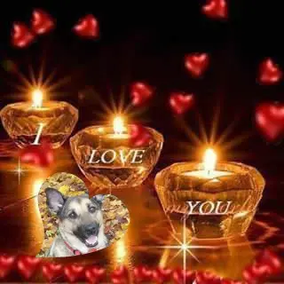 Condolence image of ❤️❤️❤️