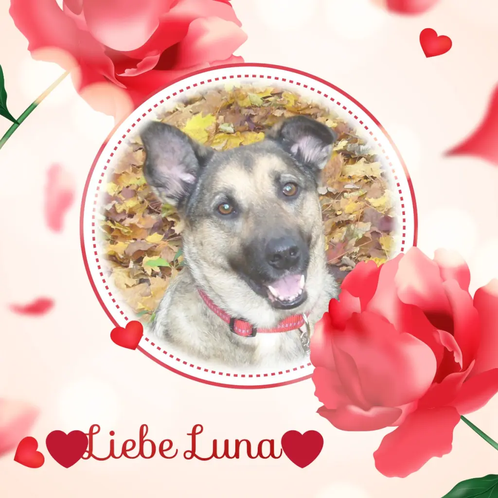 Condolence image of ❤️❤️❤️