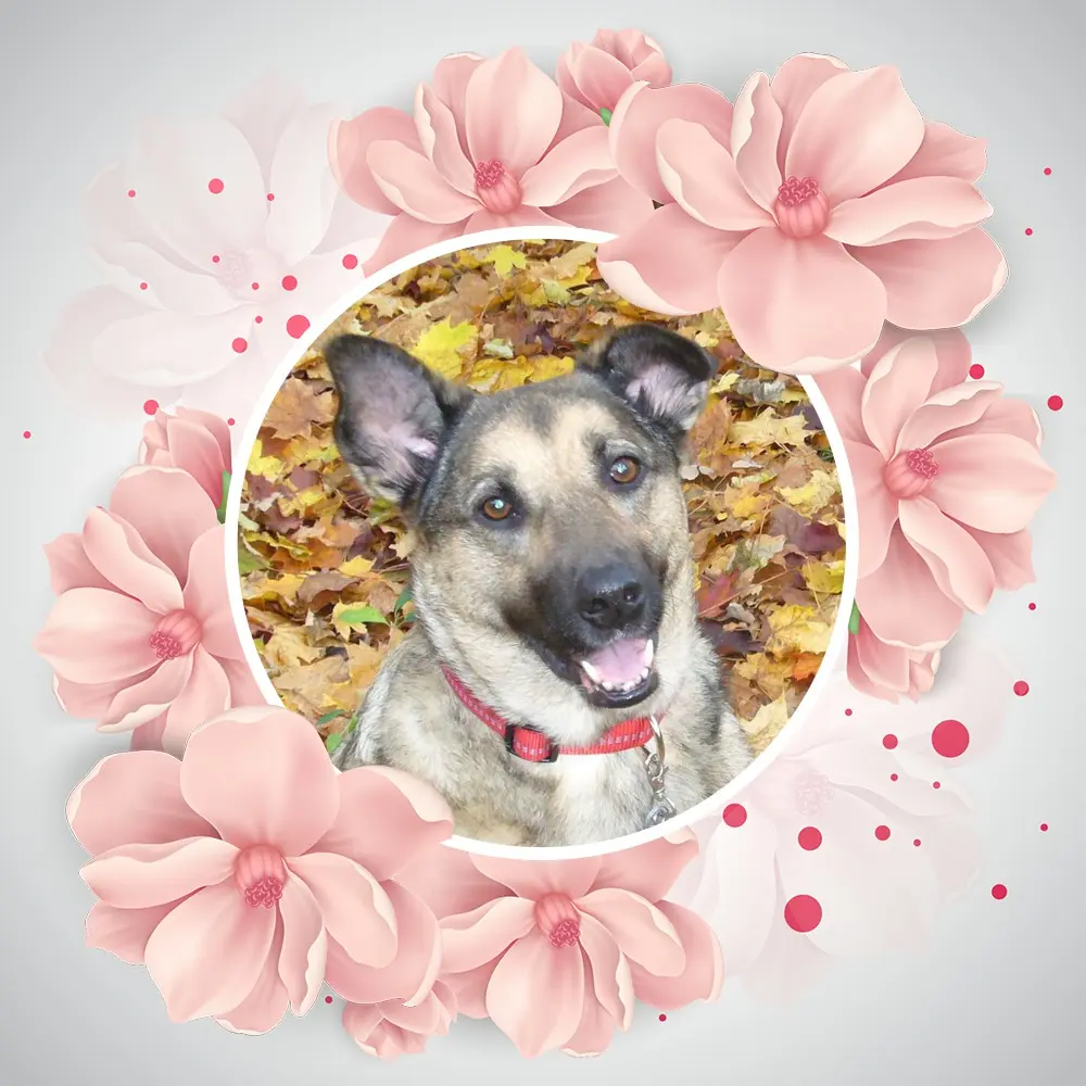 Condolence image of ❤️❤️❤️