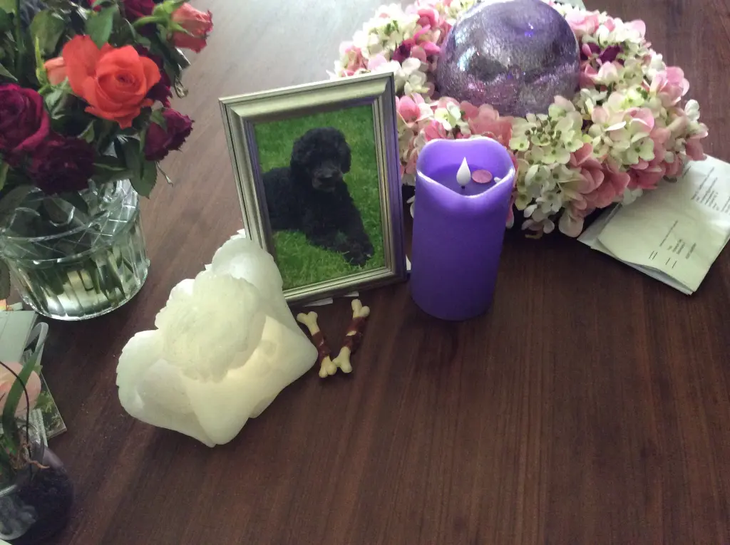 Condolence image of Heidelore 