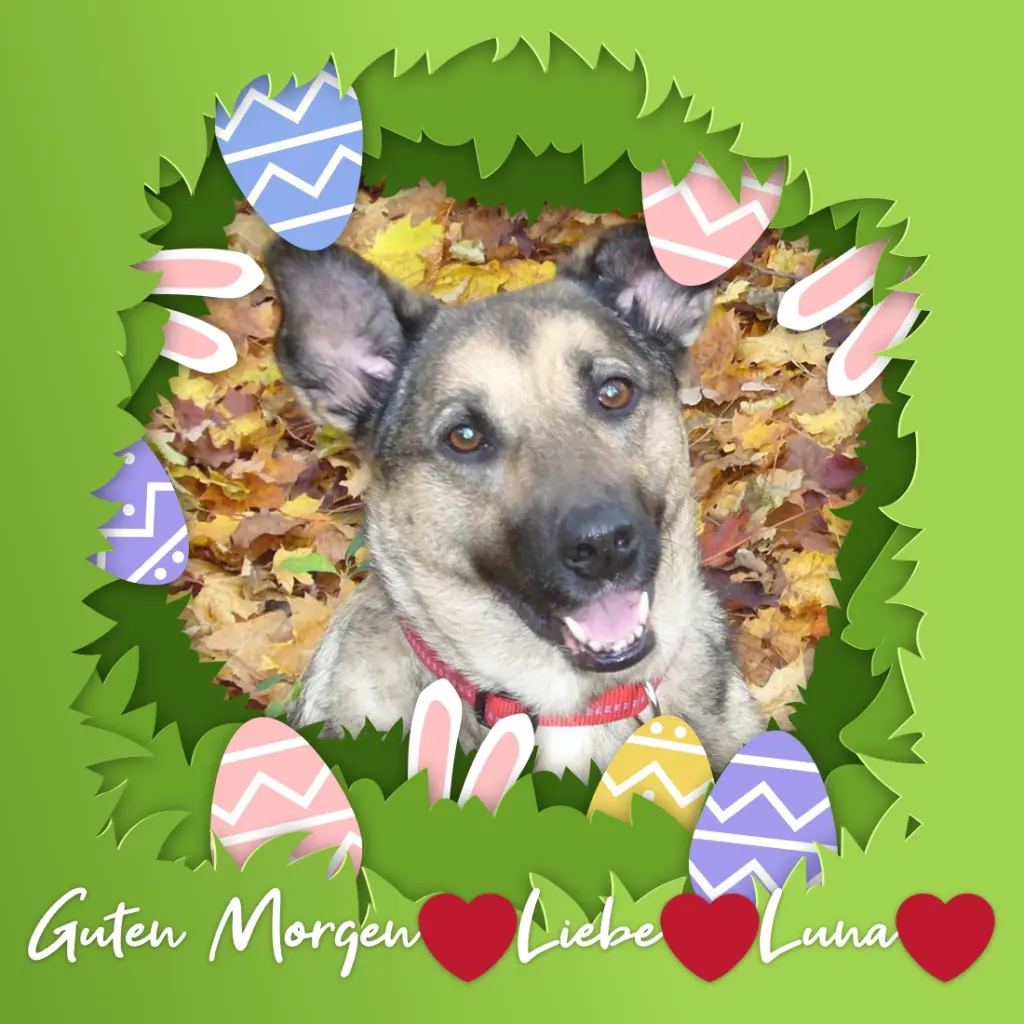 Condolence image of ❤️❤️❤️