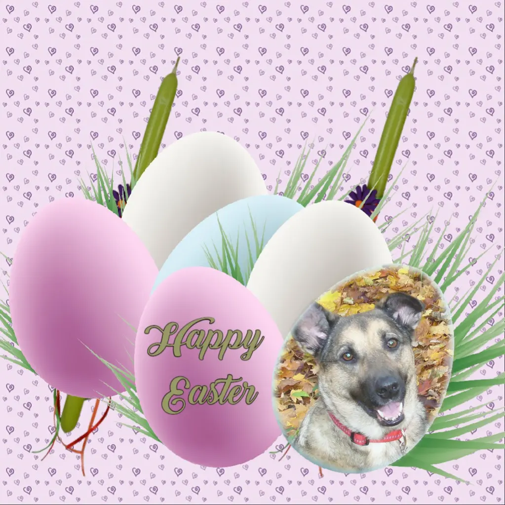 Condolence image of ❤️❤️❤️