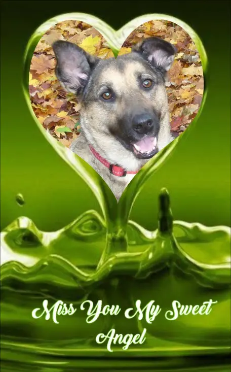 Condolence image of ❤️❤️❤️