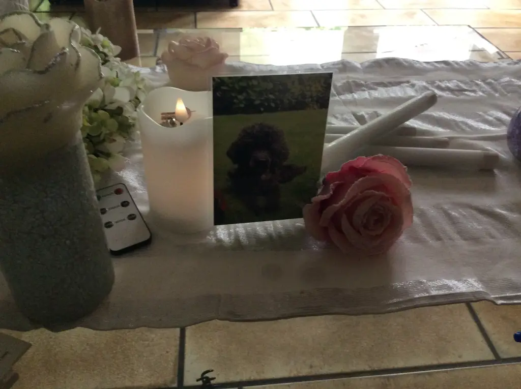 Condolence image of Heidi (Heidelore )