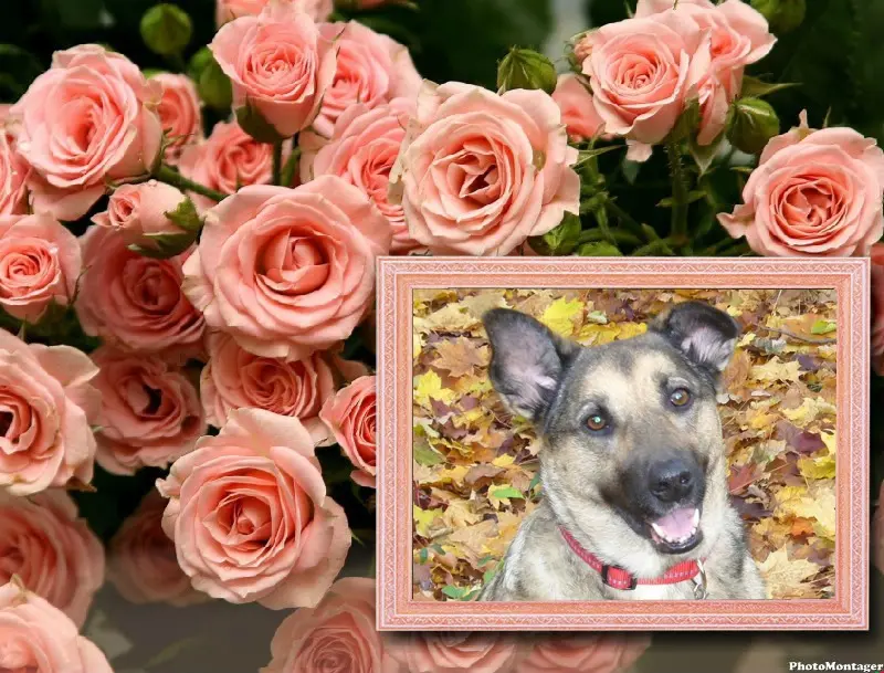 Condolence image of ❤️❤️❤️