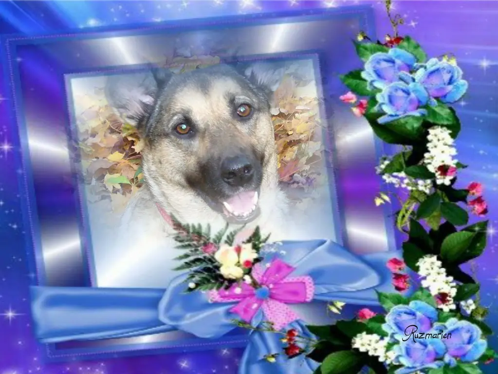 Condolence image of ❤️❤️❤️