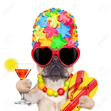 Condolence image of Post von Nelly aus dem Regenbogenland