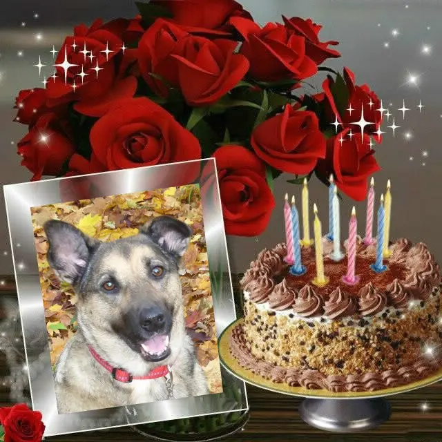 Condolence image of Liebste❤️❤️❤️Luna❤️❤️❤️