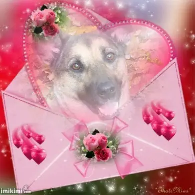 Condolence image of ❤️❤️❤️