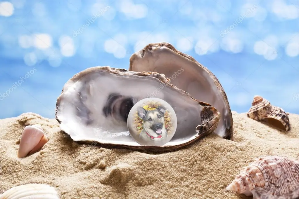 Condolence image of Luna❤️Perlen❤️