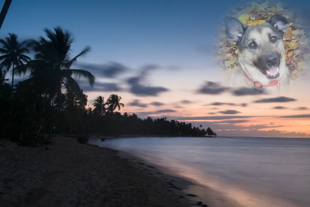 Condolence image of  ❤️❤️❤️