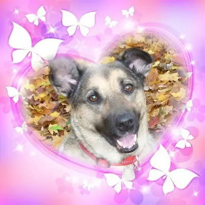 Condolence image of ❤️❤️❤️