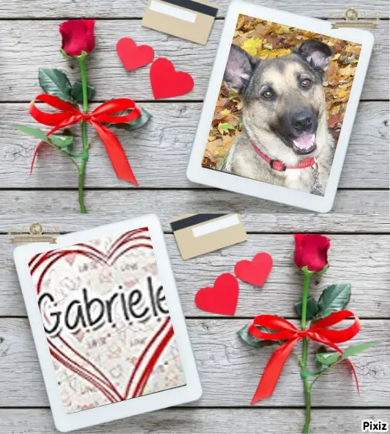 Condolence image of ❤️❤️❤️