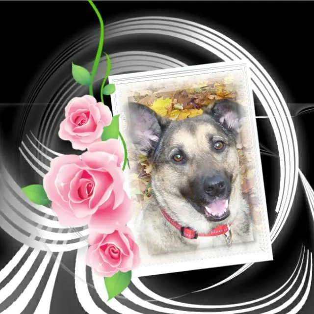 Condolence image of ❤️❤️❤️