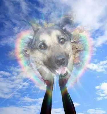 Condolence image of ❤️❤️❤️