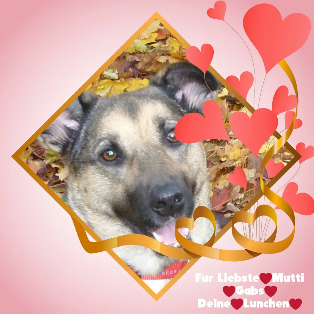 Condolence image of ❤️❤️❤️