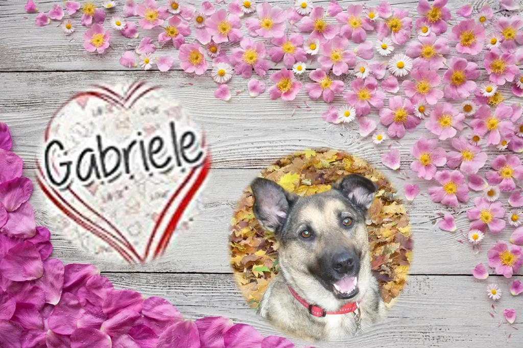 Condolence image of ❤️❤️❤️