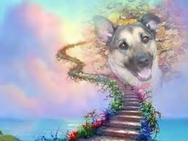 Condolence image of ❤️❤️❤️