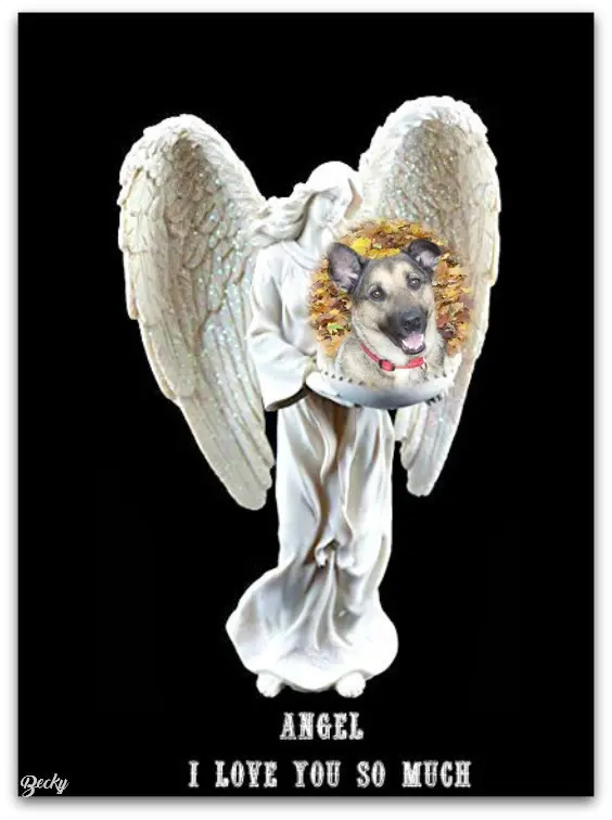 Condolence image of ❤️❤️❤️